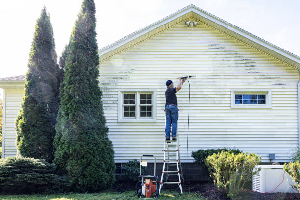 Animal Enclosure Cleaning in Schuyler, NE